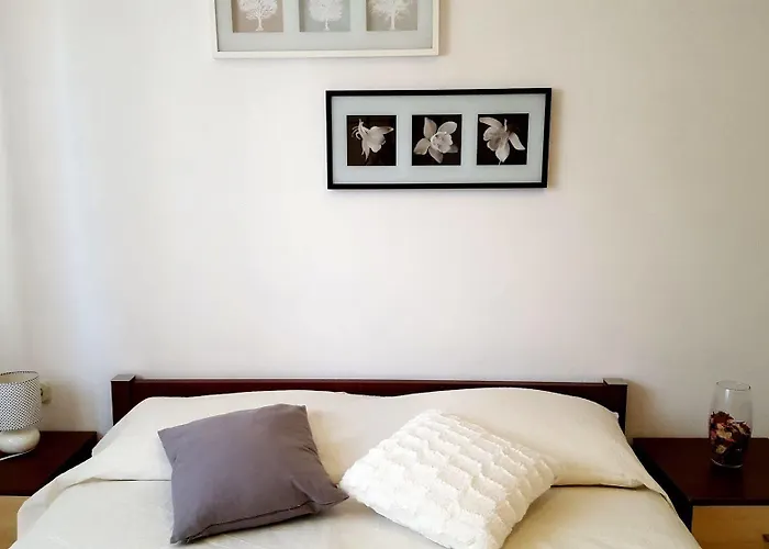 아파트먼트 반다 로비니