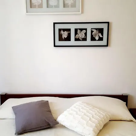 Vanda Rovinj