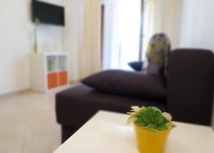 아파트먼트 반다 로비니