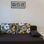 Vanda
