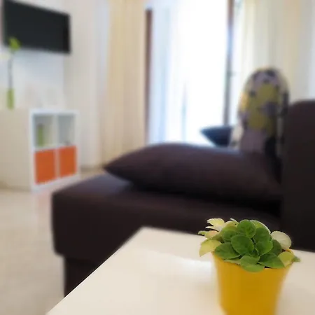 Vanda Rovinj
